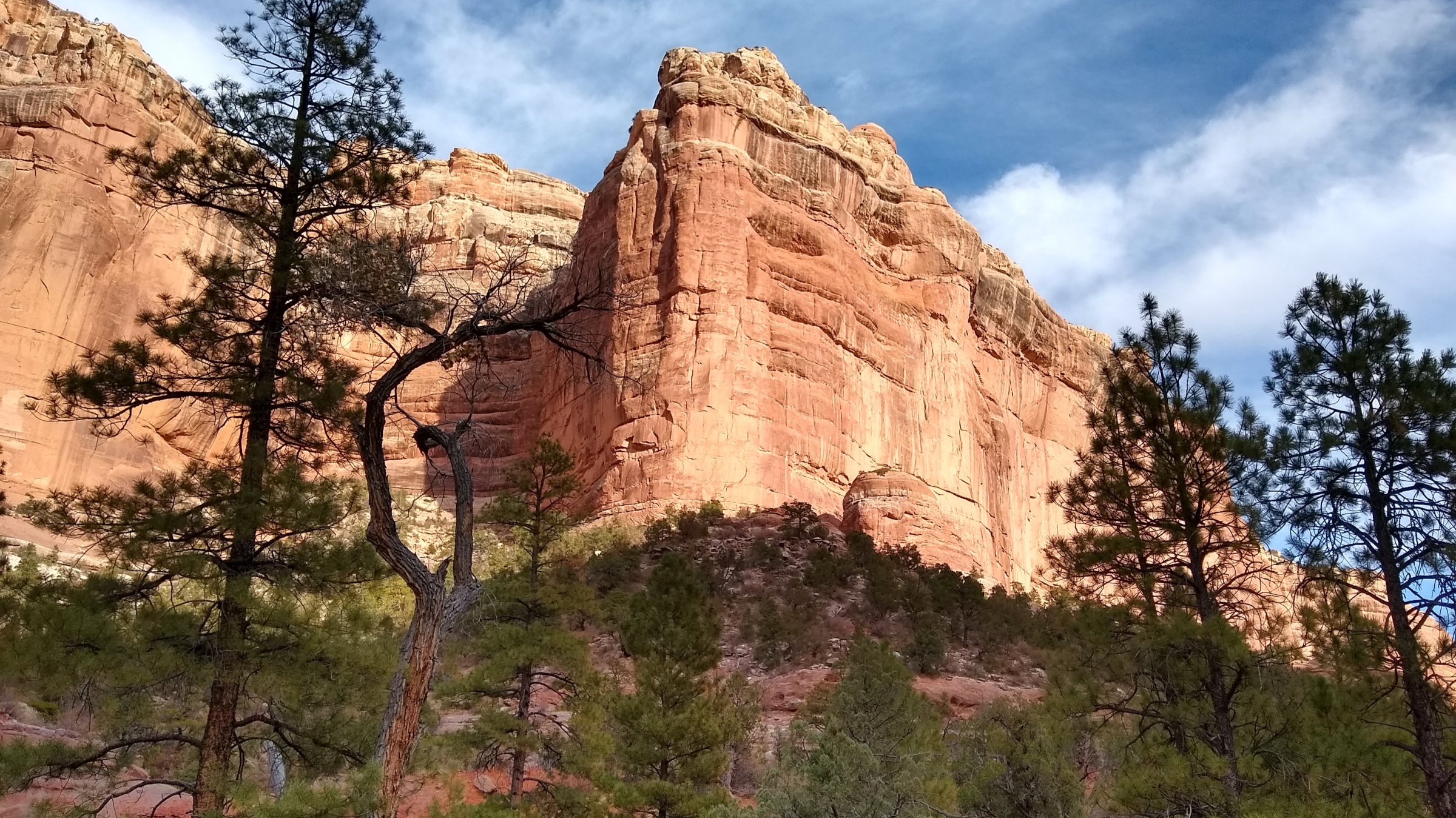 In Bears Ears, ‘Who Counts as a Local?’ Is a Thorny Question